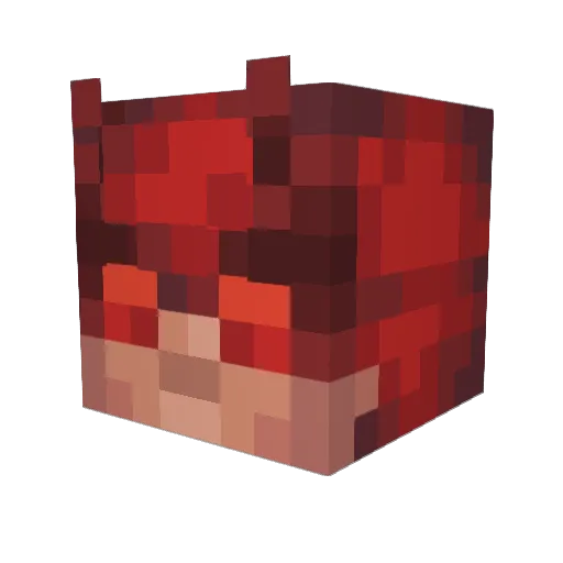 JUICE_17776 Minecraft avatar head, 3D render