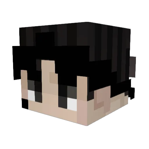 JUM_PARK Minecraft avatar head, 3D render