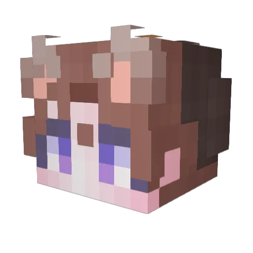 JUNE6_6 Minecraft avatar head, 3D render