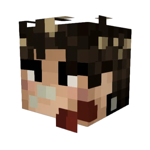 JUNGW0O0 Minecraft avatar head, 3D render