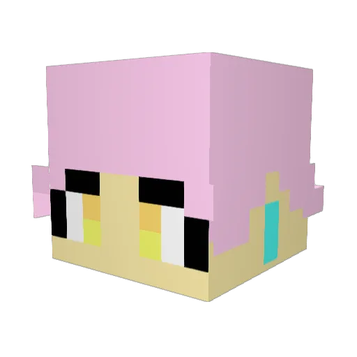 JUNI_KOO Minecraft avatar head, 3D render