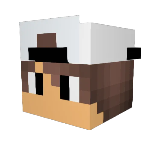 JUNKIN Minecraft avatar head, 3D render