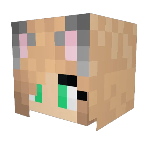 JUNO123DARVALL Minecraft avatar head, 3D render