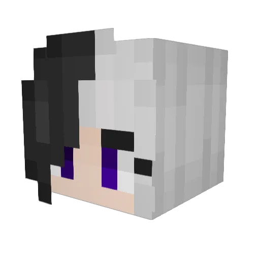 JUNZ_w Minecraft avatar head, 3D render