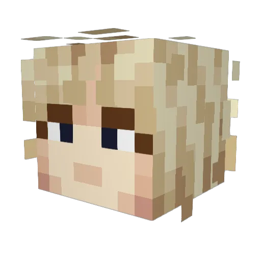 JUN_MANI Minecraft avatar head, 3D render