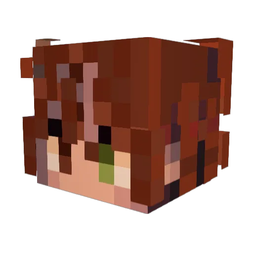 JUPITER_JELLY Minecraft avatar head, 3D render