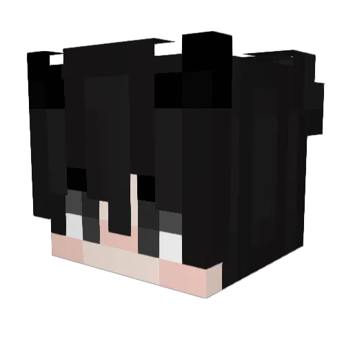 JUS123 Minecraft avatar head, 3D render