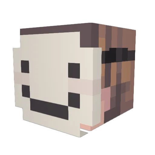 JUSTN9 Minecraft avatar head, 3D render