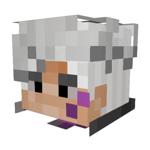 JUsty44 Minecraft avatar head, 3D render