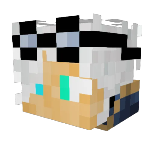 JVAEDXVII Minecraft avatar head, 3D render