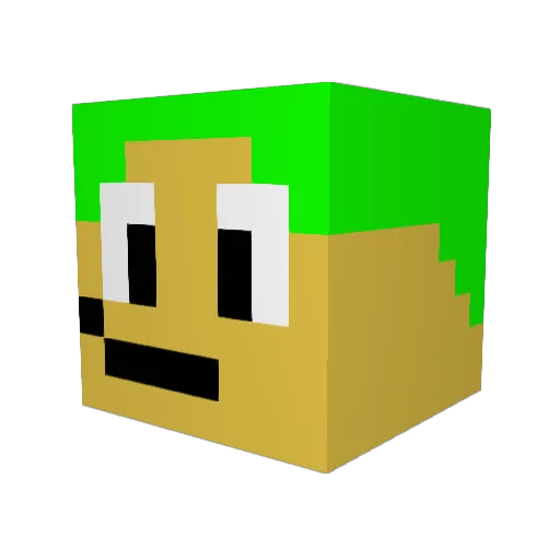 JW2012 Minecraft avatar head, 3D render