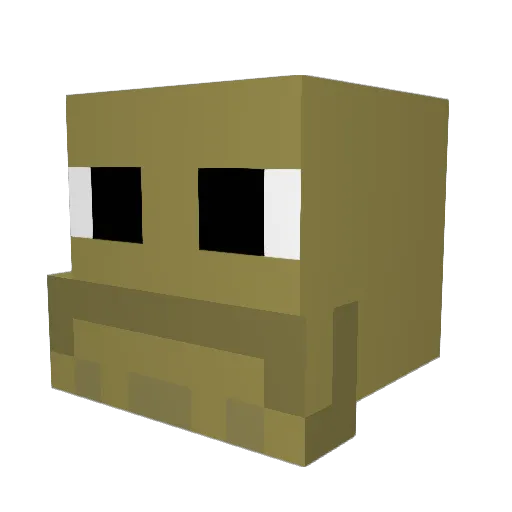 JWIZARD9089 Minecraft avatar head, 3D render