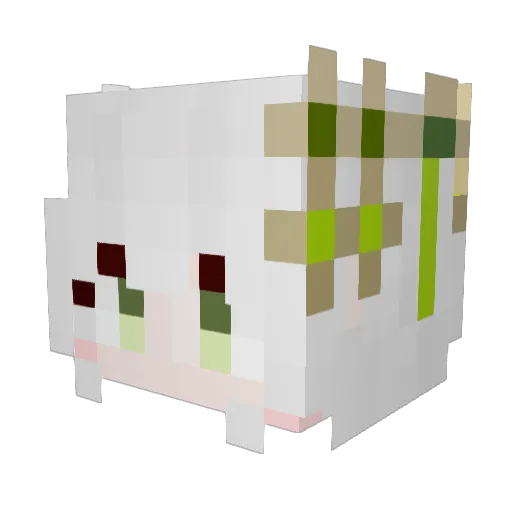 JWJUN233233 Minecraft avatar head, 3D render