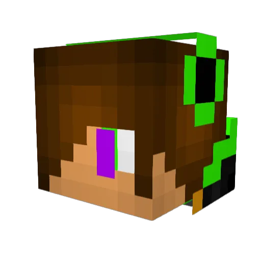 JWSH11 Minecraft avatar head, 3D render