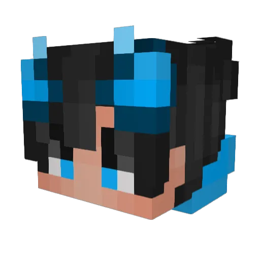 JWight24 Minecraft avatar head, 3D render