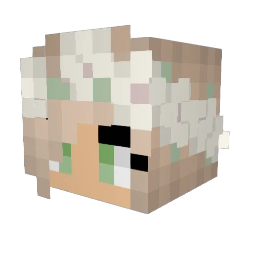 JX_Duck Minecraft avatar head, 3D render