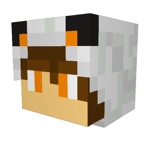 JXstXn1716 Minecraft avatar head, 3D render