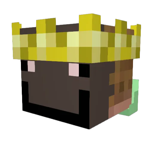 JYCKSON Minecraft avatar head, 3D render