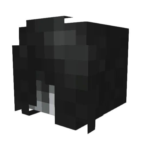 JYang1 Minecraft avatar head, 3D render