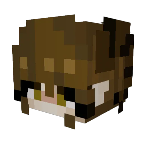 JYorein Minecraft avatar head, 3D render