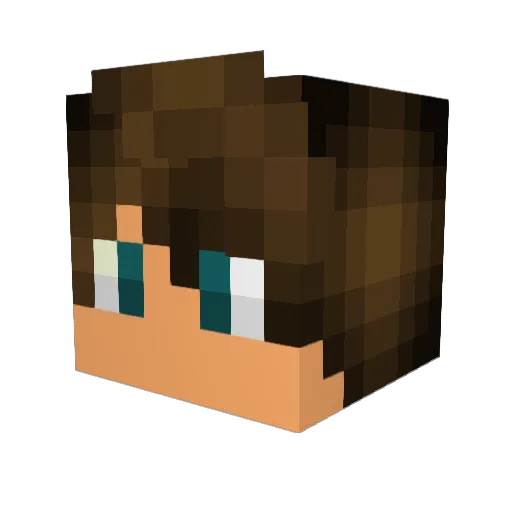 JZ_2006 Minecraft avatar head, 3D render