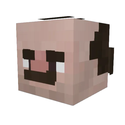 JZachTV0505 Minecraft avatar head, 3D render