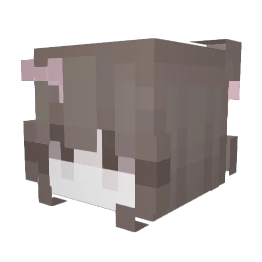 J_AN_eR Minecraft avatar head, 3D render