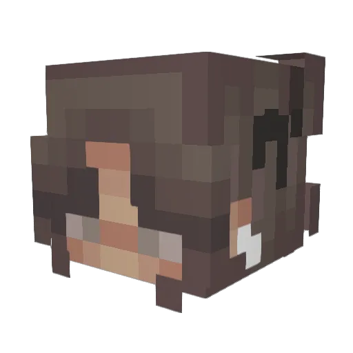J_C_2004 Minecraft avatar head, 3D render