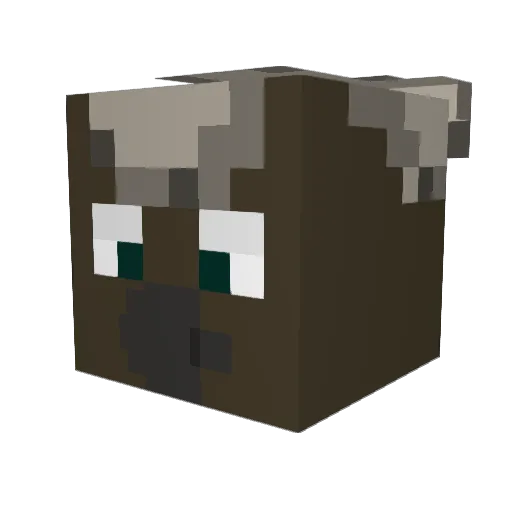 J_Davis Minecraft avatar head, 3D render