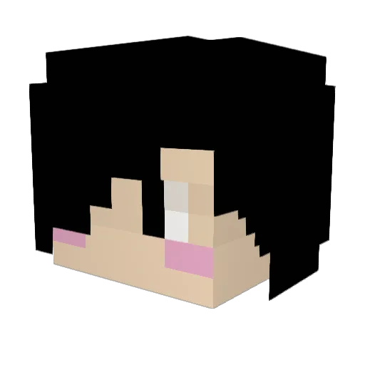 J_Hcraft Minecraft avatar head, 3D render