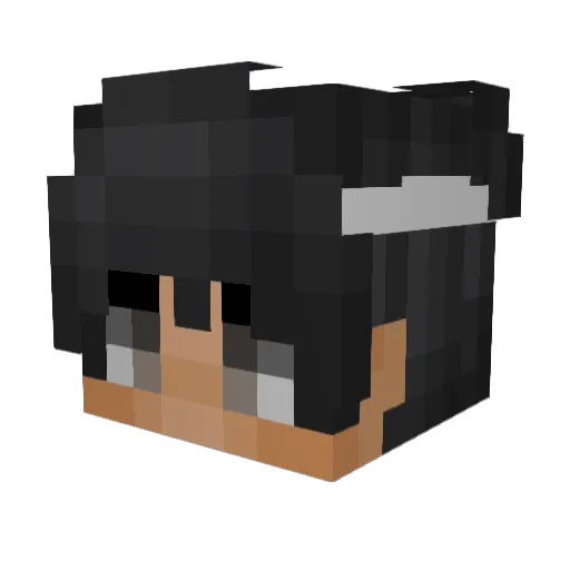 J_NIGGY Minecraft avatar head, 3D render