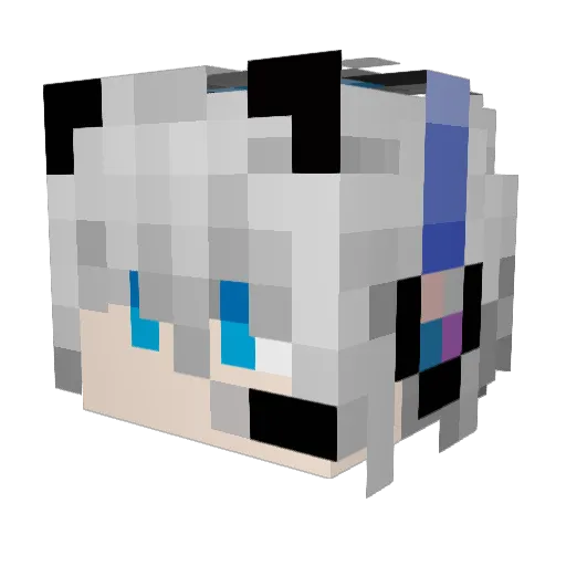 J_N_Z_wang Minecraft avatar head, 3D render