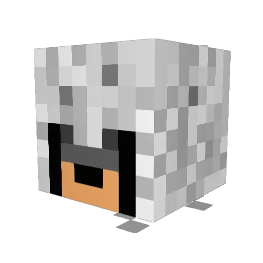 J_Novak Minecraft avatar head, 3D render