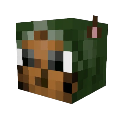 J_O_S_H_1 Minecraft avatar head, 3D render