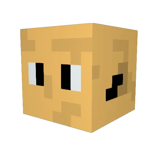 J_R_Shekelheimer Minecraft avatar head, 3D render