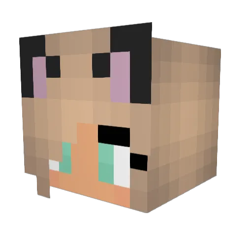 J_Raine Minecraft avatar head, 3D render