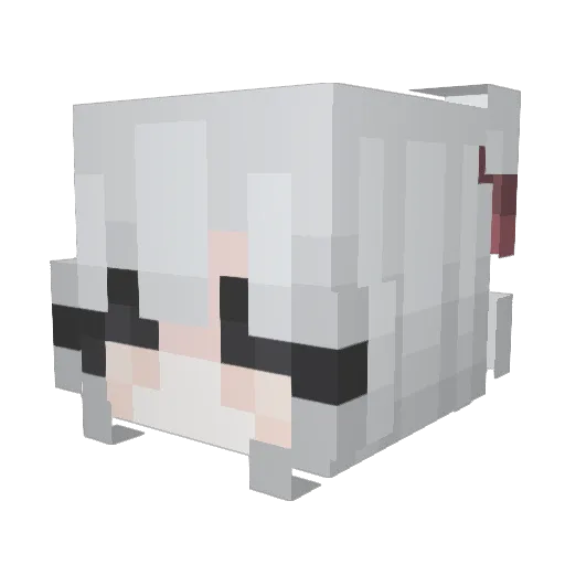 J_Raven_F Minecraft avatar head, 3D render