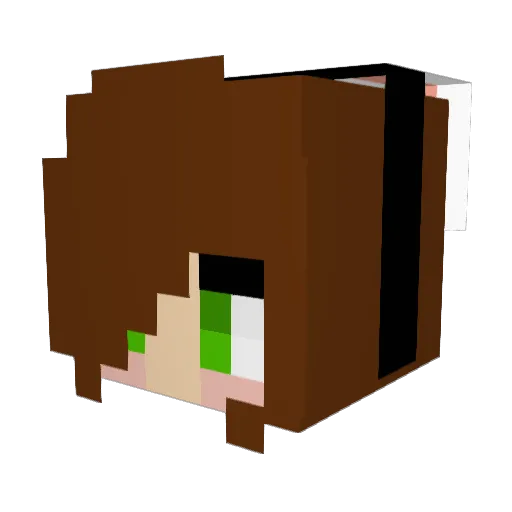 J_Rider Minecraft avatar head, 3D render