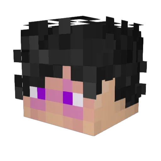 J_S_Holmes Minecraft avatar head, 3D render