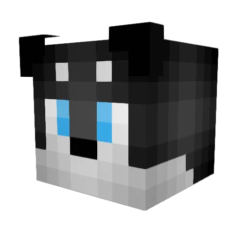 J_Tyson Minecraft avatar head, 3D render