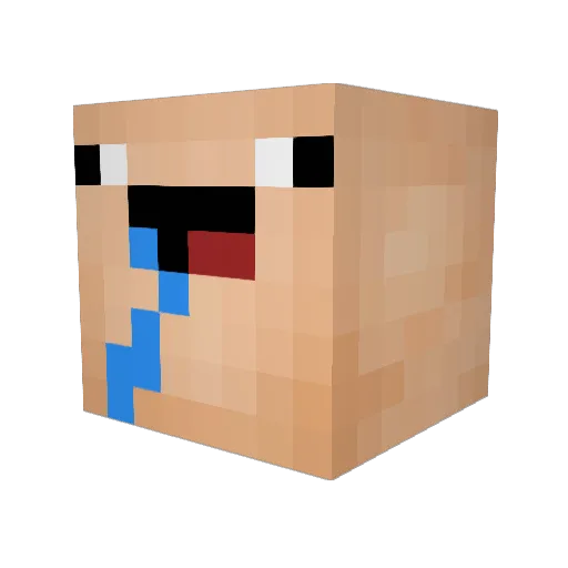 J______________J Minecraft avatar head, 3D render