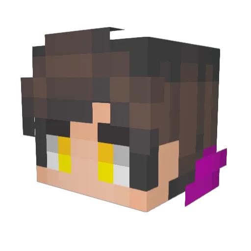 J_day Minecraft avatar head, 3D render