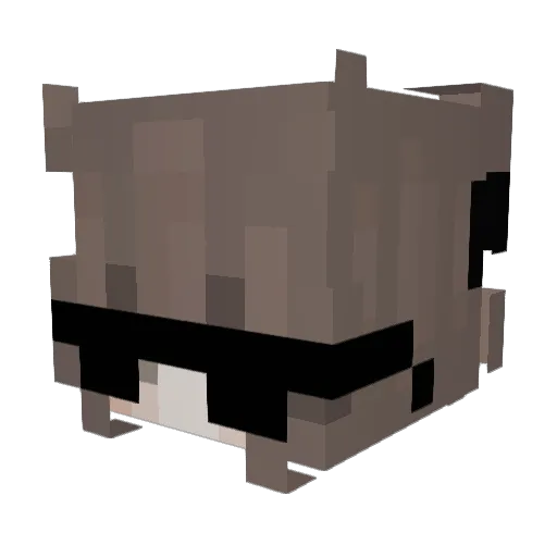 J_i8 Minecraft avatar head, 3D render