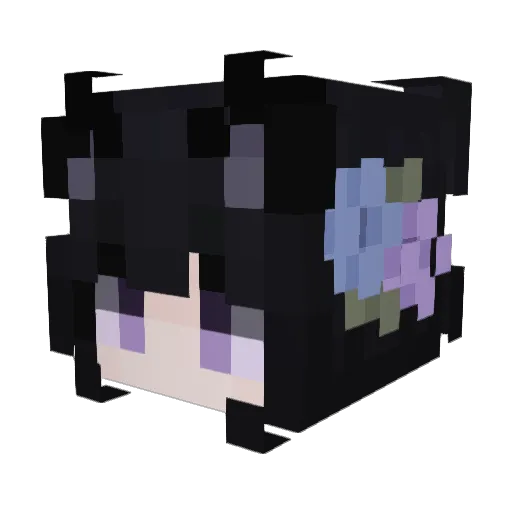 J_jung23 Minecraft avatar head, 3D render