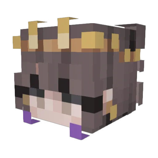 J_ls17 Minecraft avatar head, 3D render