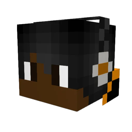 J_night13 Minecraft avatar head, 3D render