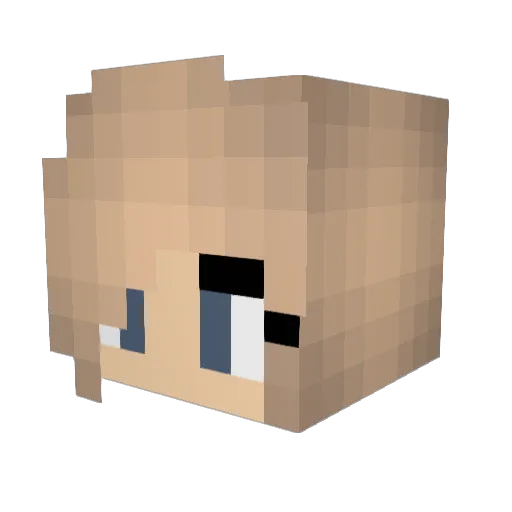 J_shadows13 Minecraft avatar head, 3D render