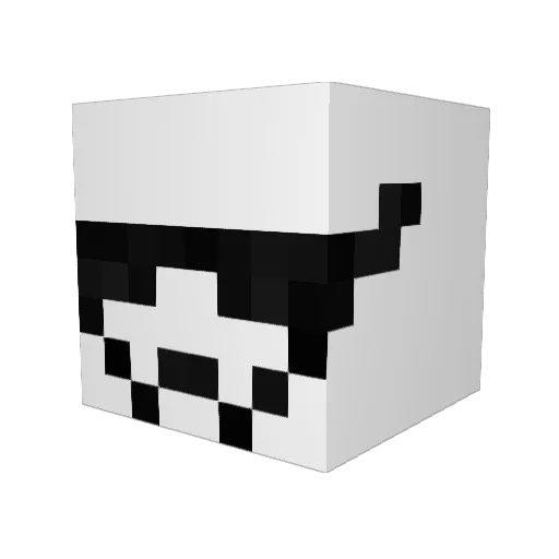 Ja5per14 Minecraft avatar head, 3D render