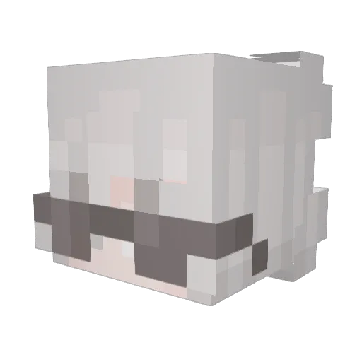 Ja7c0 Minecraft avatar head, 3D render
