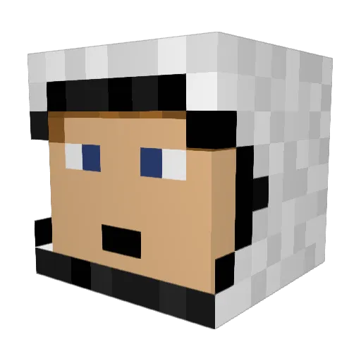 JaLuMa3012 Minecraft avatar head, 3D render